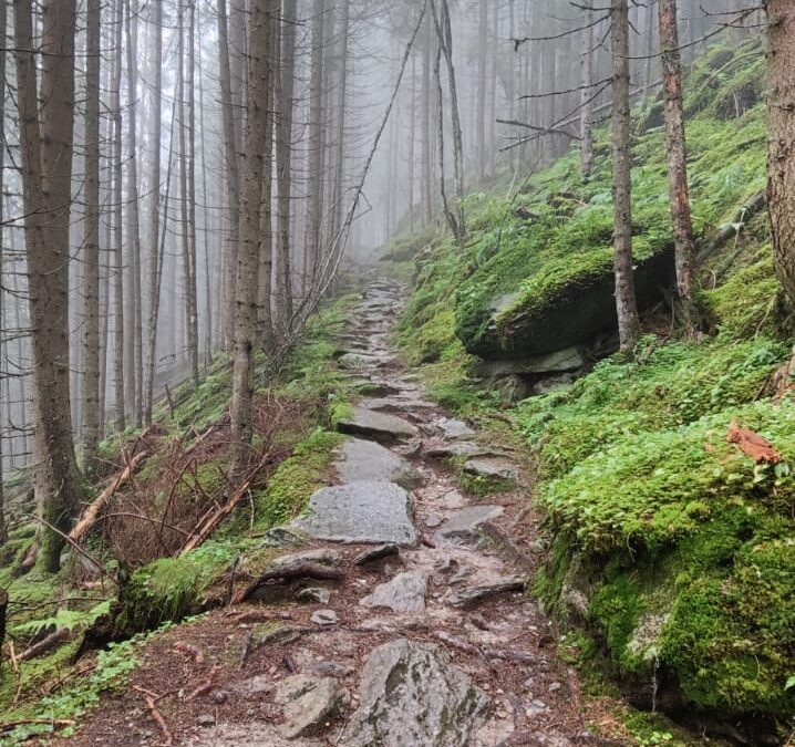 Finkenberg/Ginzling -Gamshütte